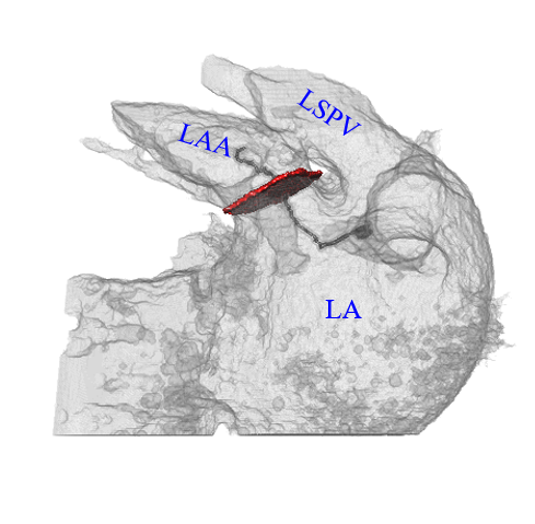 Figure 29